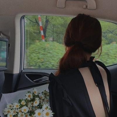 哈莱姆的郁金香